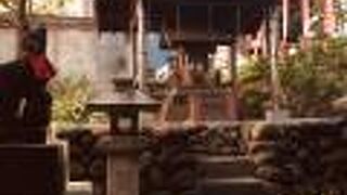 木陰が多い境内