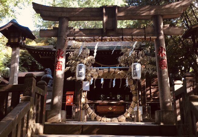 鬱蒼とした神社