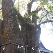 藤白神社