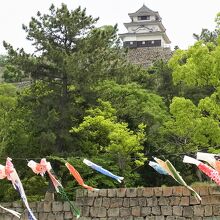 五月に泳ぐ鯉のぼり