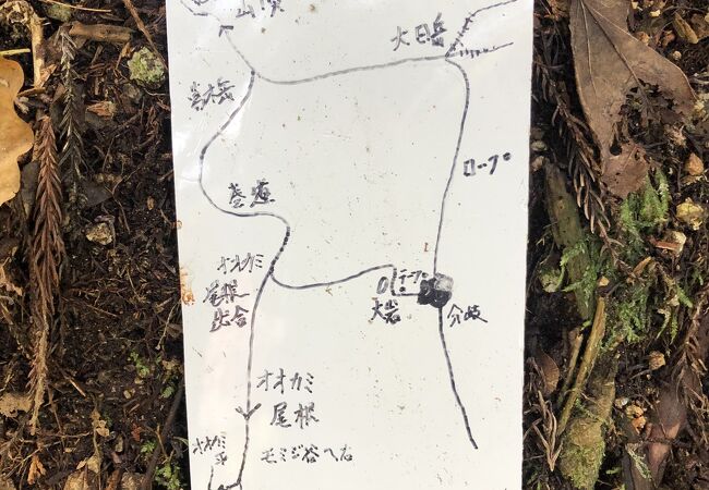 山頂ライブカメラで記念撮影