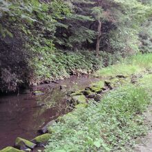 静嘉堂緑地トンボの湿地
