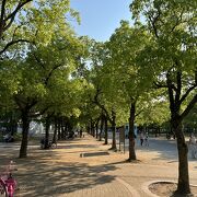 大きな公園ですが、どちらかといえば地元の人が楽しむところ