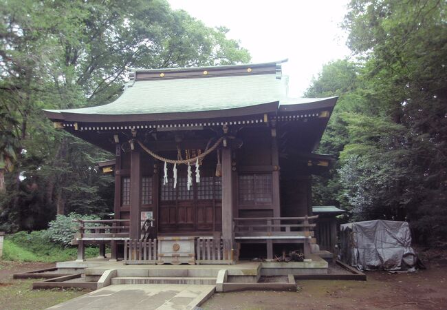 世田谷散策(9)で大蔵氷川神社に寄りました