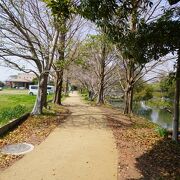 特におすすめはお花の南側