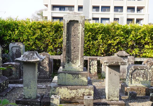 唐李憲墓発掘報告 唐李憲墓発掘報告 / 陝西省考古研究所編著 | 歴史・考古学専門