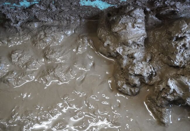 柳川 大川の動物園 クチコミ人気ランキング フォートラベル 福岡県