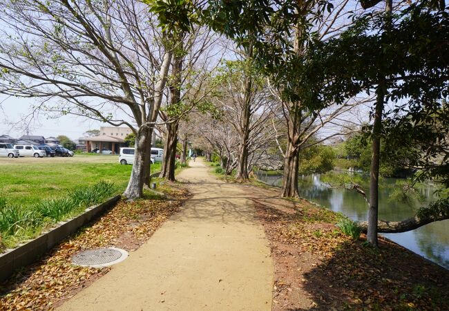 特におすすめはお花の南側