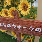 ひまわりの装飾が華やかな雰囲気を演出していました