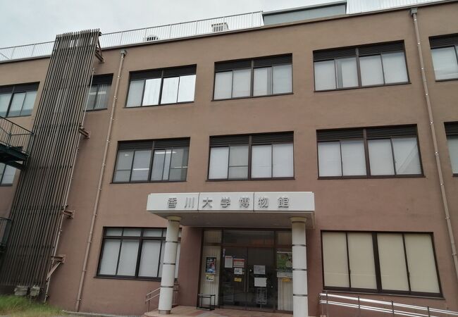 香川大学博物館