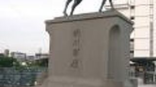 堂々とした騎乗姿に、圧倒されました