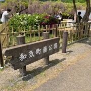 和気に行った際、藤公園に行きました。