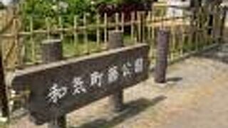 和気に行った際、藤公園に行きました。