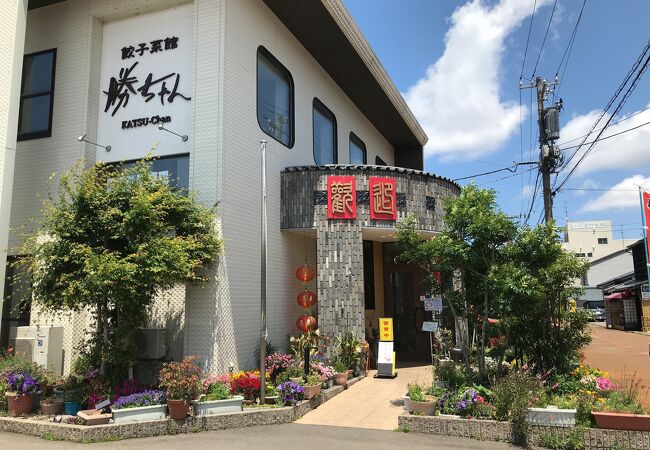 餃子菜館 勝ちゃん