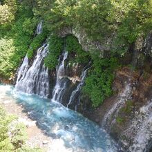 水が綺麗でした。