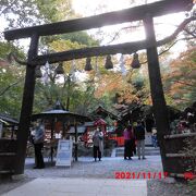 樹脂の付いたままの日本最古の鳥居形式