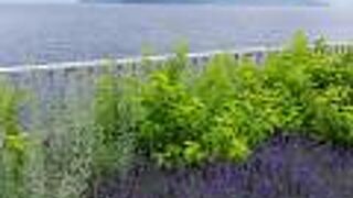 景色を楽しむ温泉