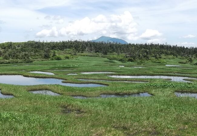 静かな湿原