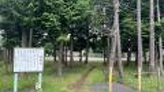 犬は立入禁止になっている