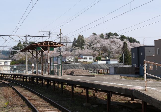 弘南鉄道・石川駅ホームから満開の桜が見えました