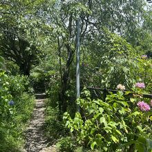 箱根登山鉄道沿いにある小径