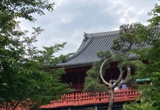 寛永寺清水観音堂 クチコミ アクセス 営業時間 上野 御徒町 フォートラベル