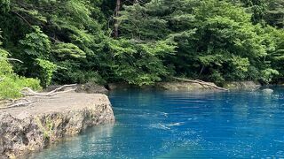日本一の深さの湖は天気がいいとものすごく青かった