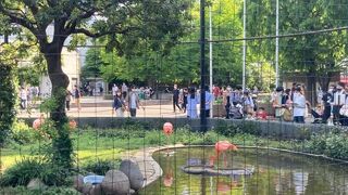 上野恩賜公園の動物園