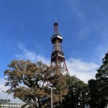 秋晴れでした。