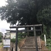 雄物川（秋田県大曲）：秋田県の城跡巡り・大曲城跡、支流が分岐したすぐにある