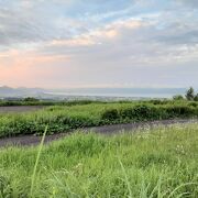 遠くに駿河湾を見渡せて、眺望が良かったです