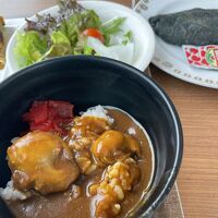 炭オムレツとカキカレー