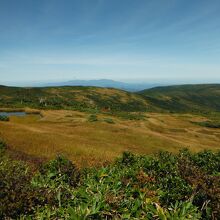 西吾妻山(大凹・池塘)