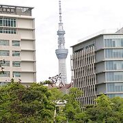 両国国技館近くに立地する庭園