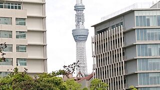 両国国技館近くに立地する庭園