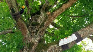 かこさとしさん作品を味わえる贅沢で楽しい公園