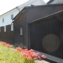 飯盛酒造横の畦道を行く