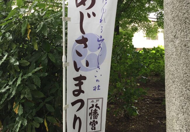 水戸のあじさいまつり クチコミ アクセス 営業時間 水戸 フォートラベル