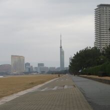 福岡タワーが見えます