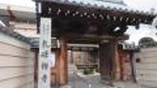 お庭が綺麗です