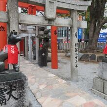 赤が基調で華やかです