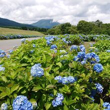 飯綱東高原