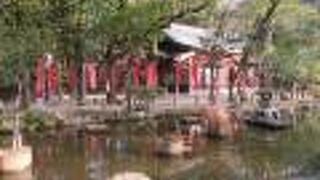 博多駅から徒歩圏内です