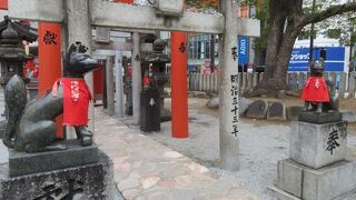 笑い狐様がいます