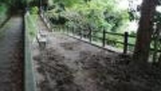 ちょっと寂しいところ