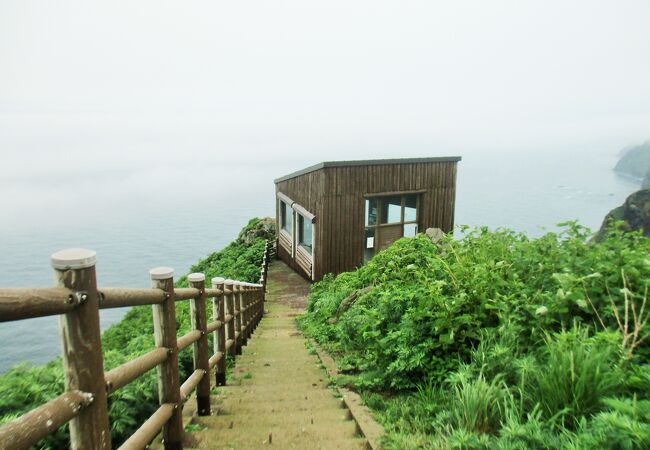 断崖にの上に立つ海鳥観察舎