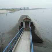 多摩川に突き出た砂地には水難者供養の祠があります