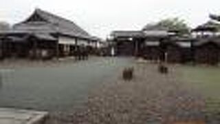 開所は10時からで入所できませんでした。