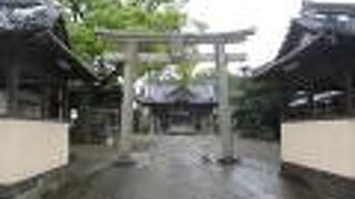 拝殿の屋根は必見です。