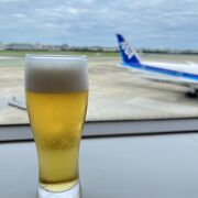 搭乗前に飛行機と一杯